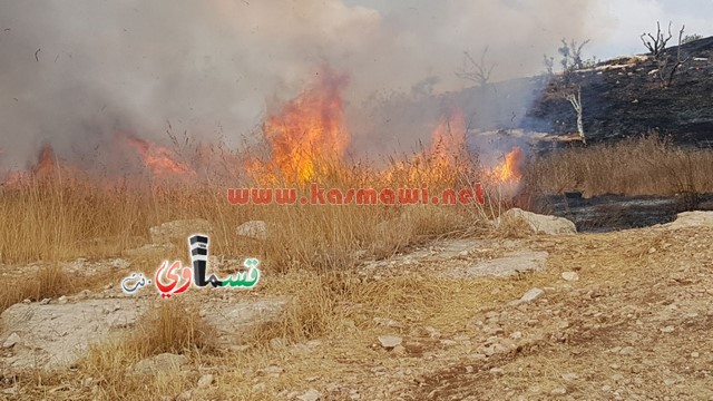 كفر قاسم -فيديو:اندلاع حريق في منتزة عبد الكريم قاسم وطواقم الاطفاء تسيطر على الحريق